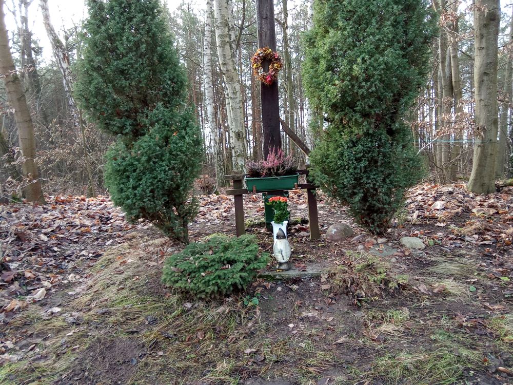 Krzyż 31.12.2024