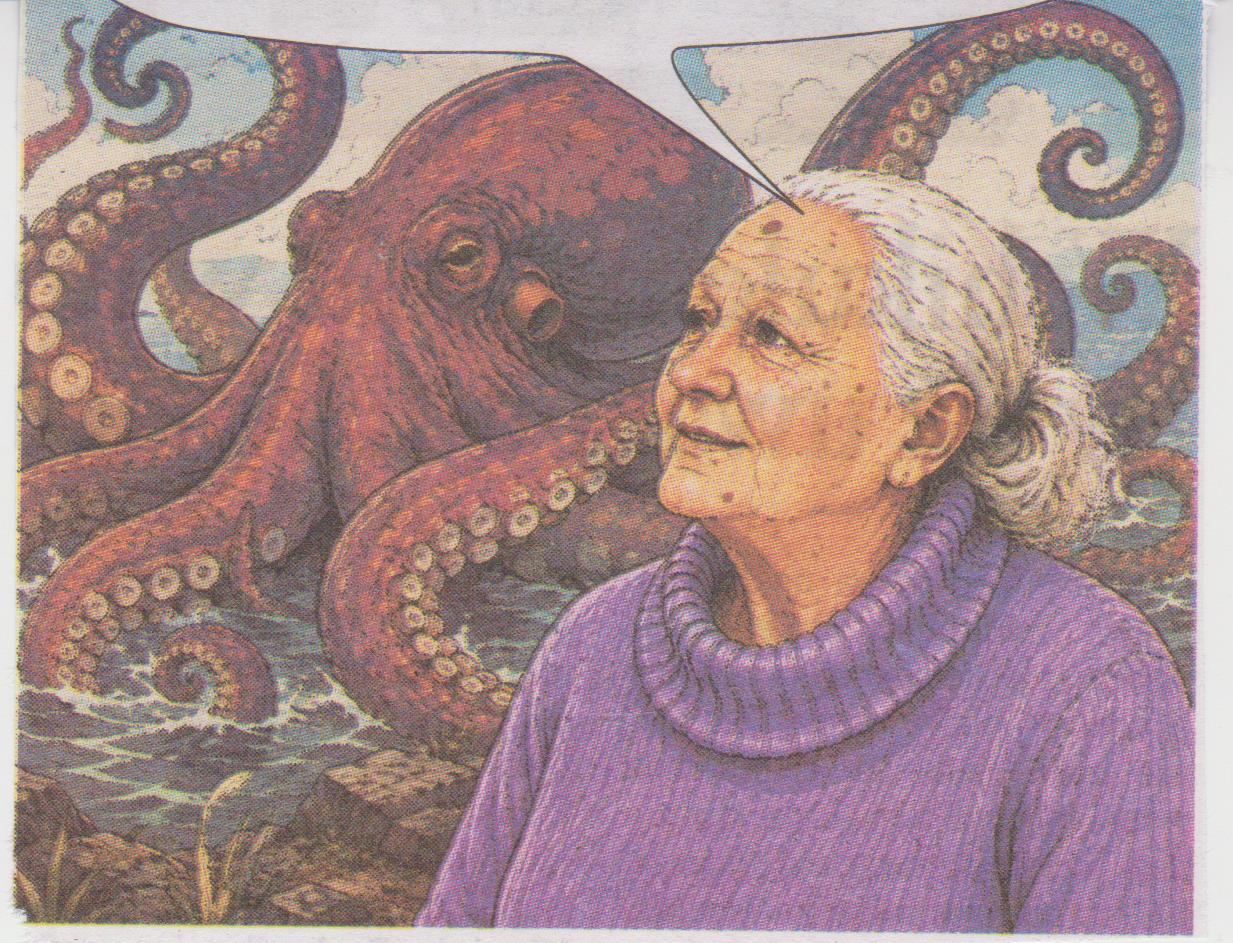 Ośmiornica.jpg